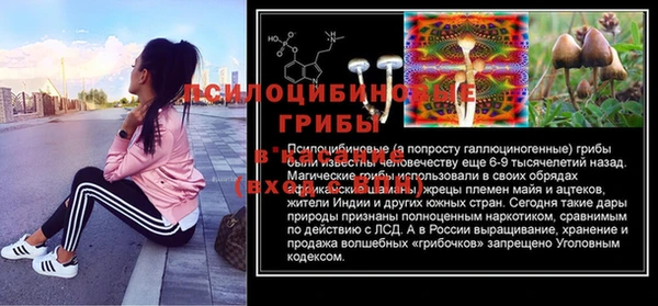 сатива Протвино