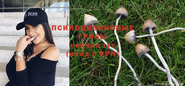 индика Пролетарск