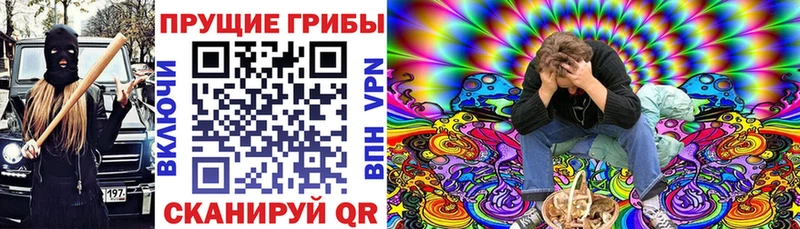 где продают наркотики  Вилюйск  ОМГ ОМГ tor  Галлюциногенные грибы мухоморы 